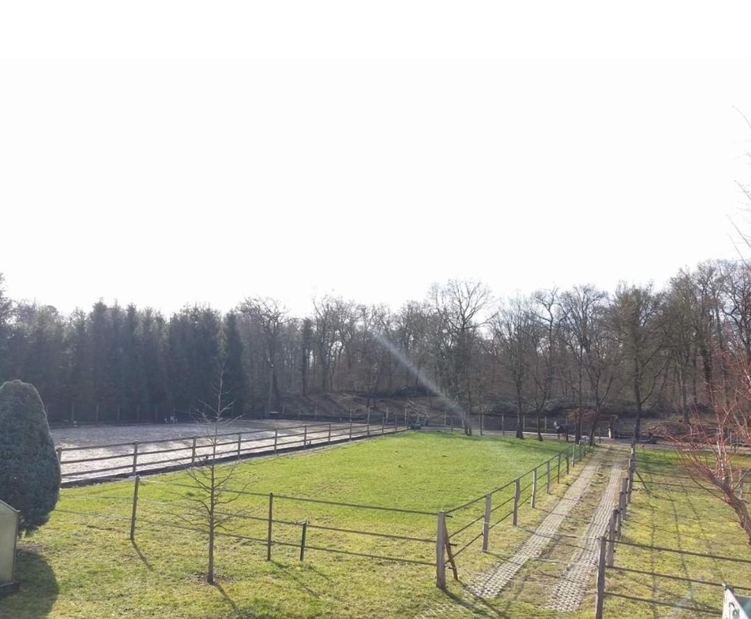 Apartmán Repos Rouge-Plaisir Au Milieu Des Chevaux Kembs Exteriér fotografie