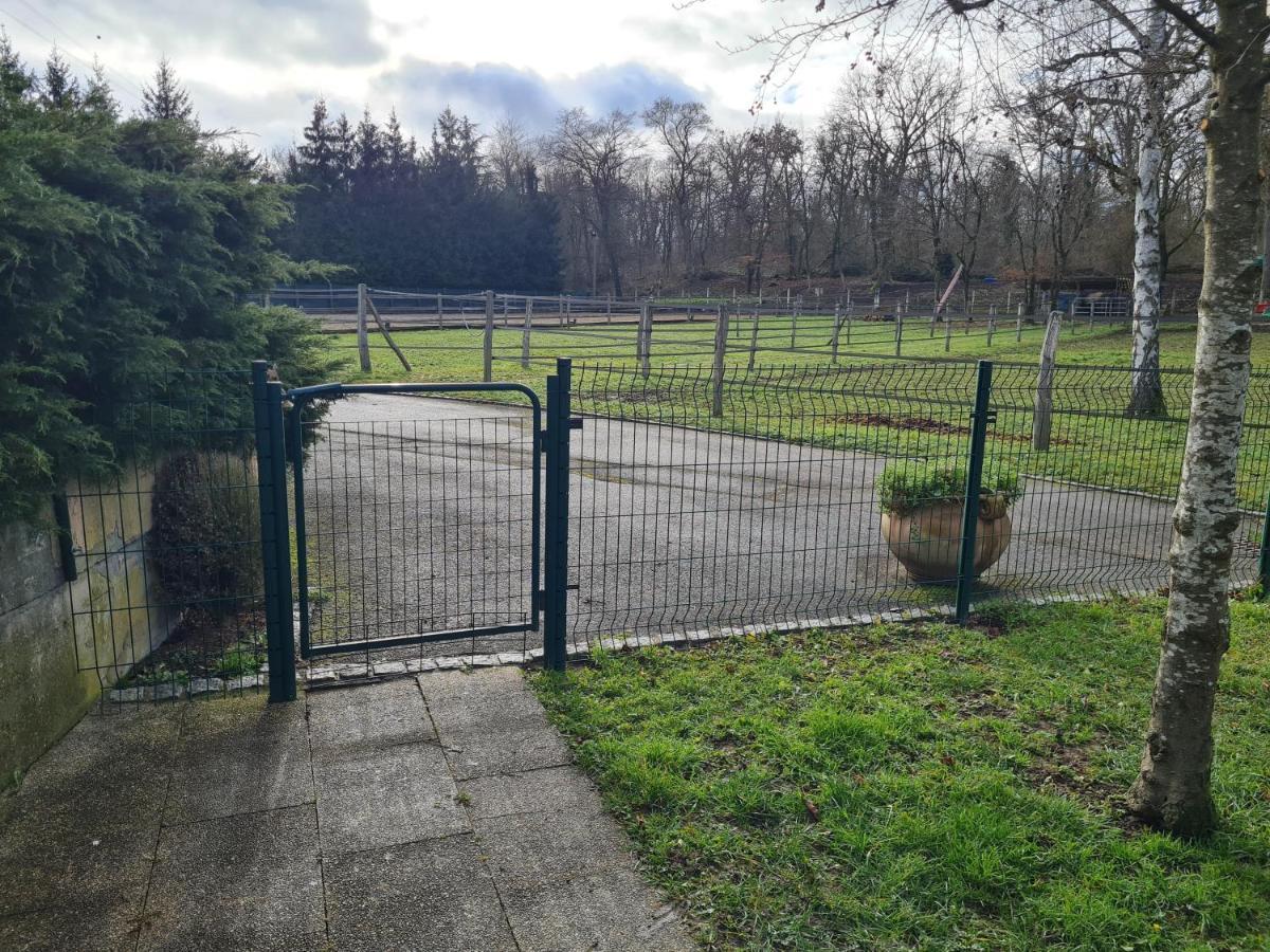 Apartmán Repos Rouge-Plaisir Au Milieu Des Chevaux Kembs Exteriér fotografie