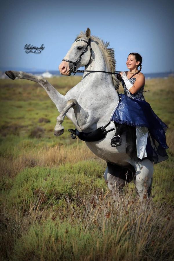Apartmán Repos Rouge-Plaisir Au Milieu Des Chevaux Kembs Exteriér fotografie